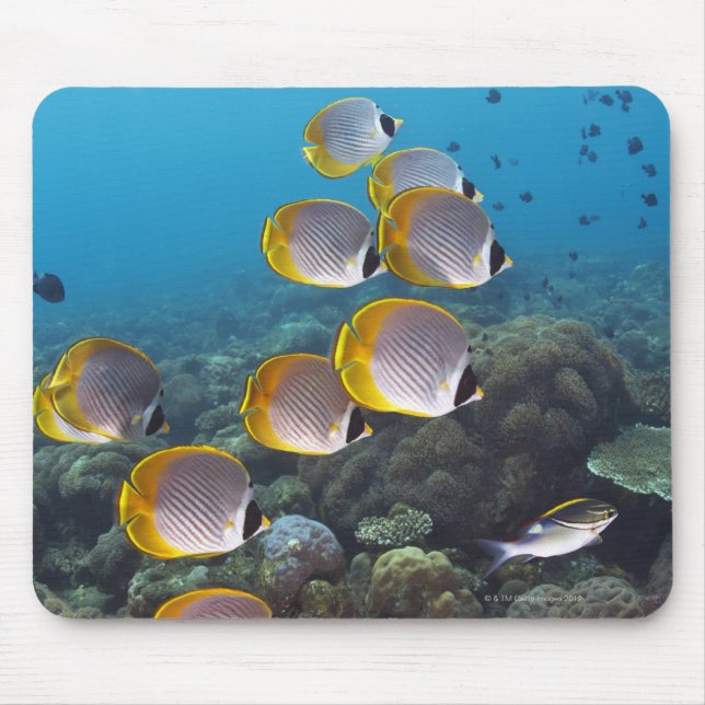 Bali, Indonesia Mouse Pad (Front)