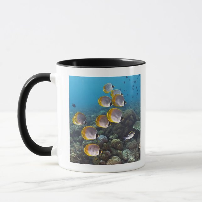 Bali, Indonesia Mug (Left)