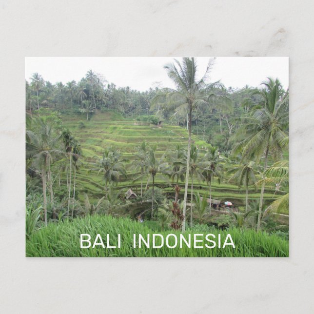 Bali Indonesia Postcard (Front)
