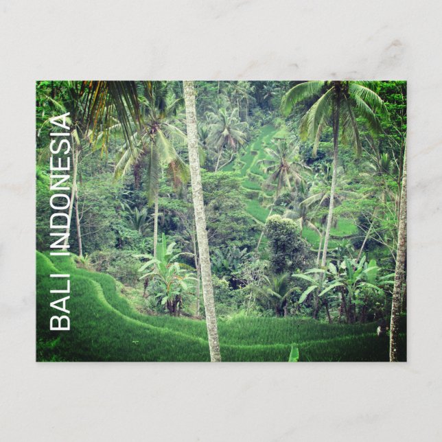 Bali Indonesia Postcard (Front)