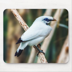 Bali Myna Bird Mousepad