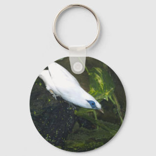 Bali Myna Keychain