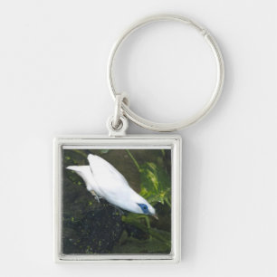 Bali Myna Keychain