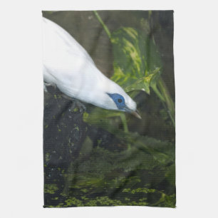 Bali Myna Kitchen Towel