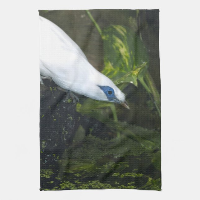 Bali Myna Kitchen Towel (Vertical)