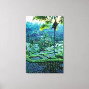Bali   Overview Of Rice Terraces Canvas Print