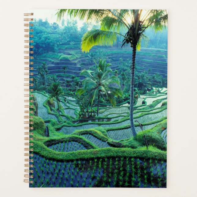 Bali | Overview Of Rice Terraces Planner (Front)