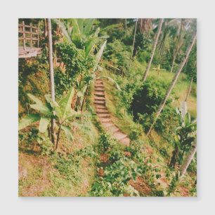 Bali rainforest Stairway 