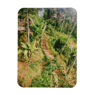 Bali rainforest Stairway Magnet
