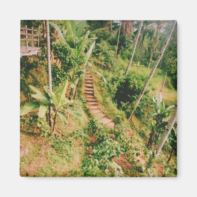 Bali rainforest Stairway  Magnet (Front)