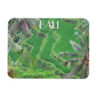 bali rice terraces