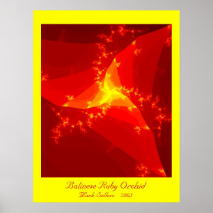 Balinese Ruby Orchid (yellow) Poster