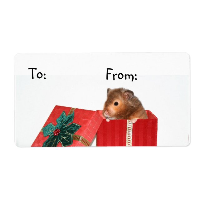 Balise cadeau de Noël Hamster (Devant)