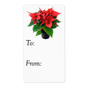 Balise cadeau Poinsettia rouge et verte de Noël