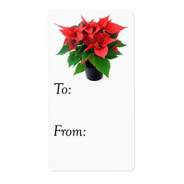 Balise cadeau Poinsettia rouge et verte de Noël (Devant)