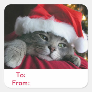 Balises cadeaux - A et A - Sticker pour chat
