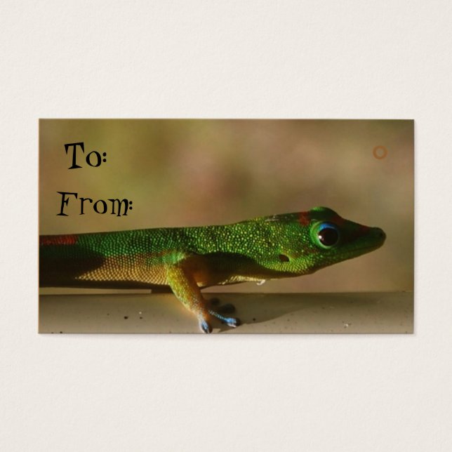 Balises cadeaux Gecko (Devant)