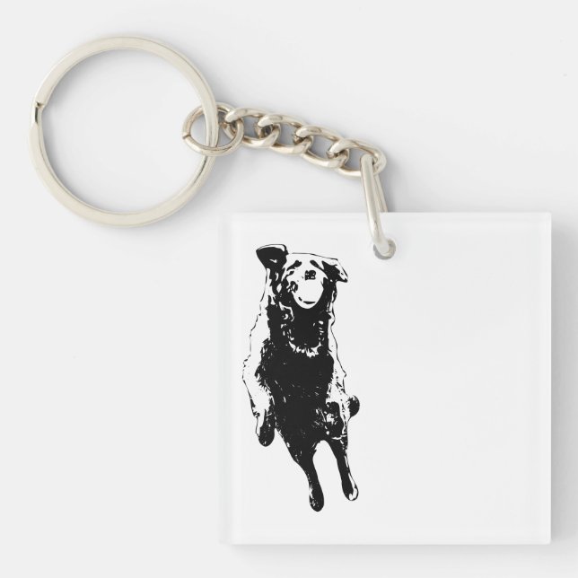 Ball-hold joy keychain (Front)