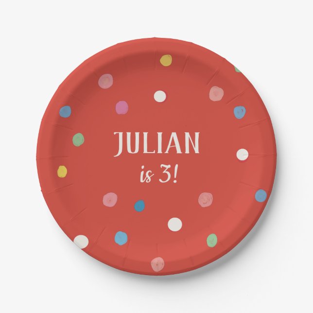 Ball Pit Polka Dots Kids Birthday Party Paper Plate (Front)