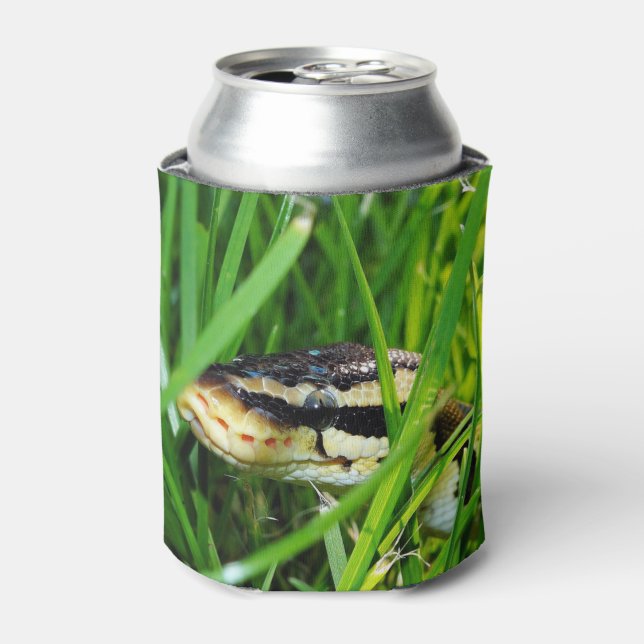 Ball Python in the Grass Can Cooler (Can Front)