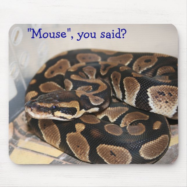 Ball Python interested in mouse. Mouse Pad (Front)