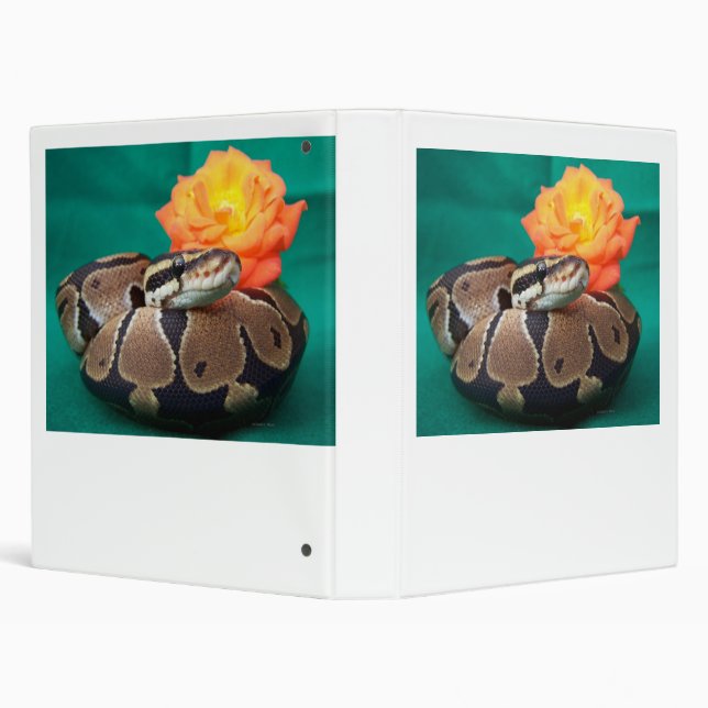 Ball python picture with orange rose green back binder (Background)