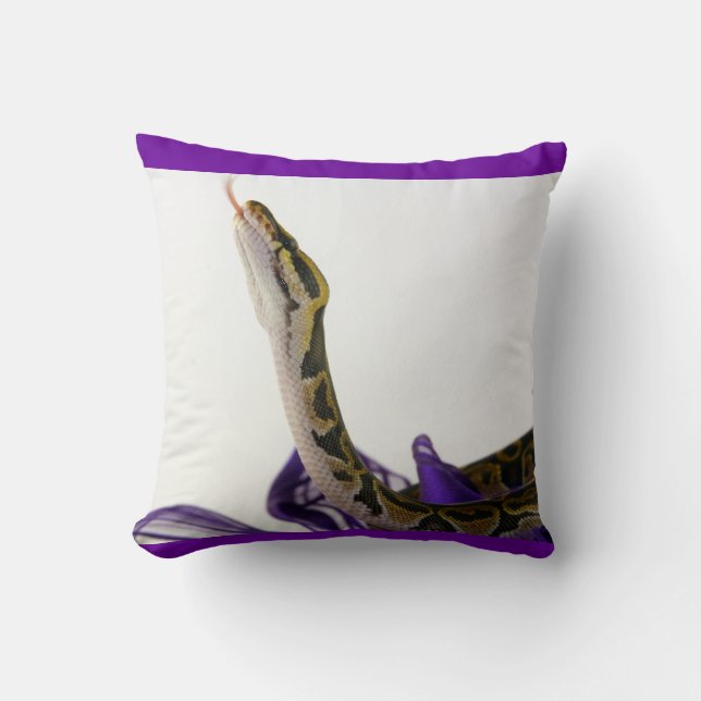 Ball Python Pillow (Front)