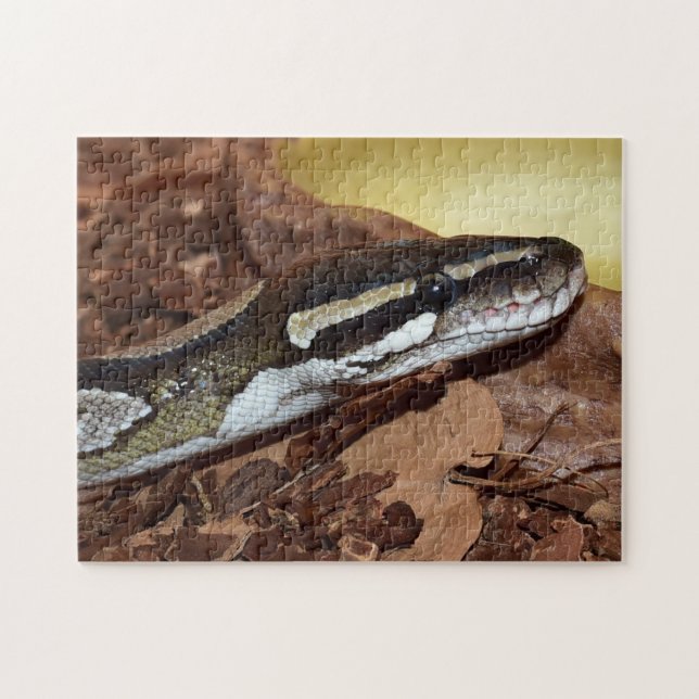 Ball Python Snake Jigsaw Puzzle (Horizontal)