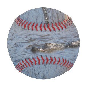 Balle De Baseball Alligator américain nageant dans une rivière maréc