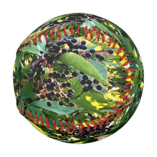 Balle De Baseball Baies noires