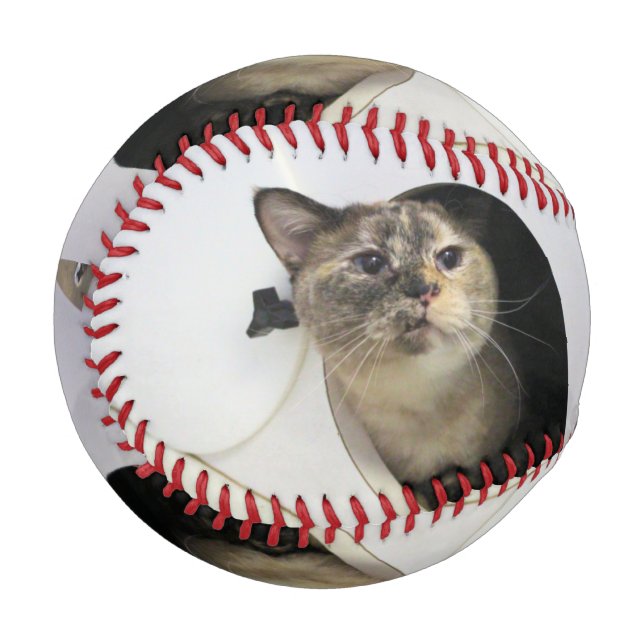 Balle De Baseball Cat (Devant Gauche)