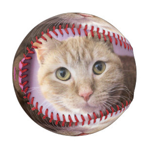 Balle De Baseball Cat