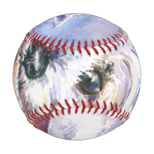 Balle De Baseball Chien