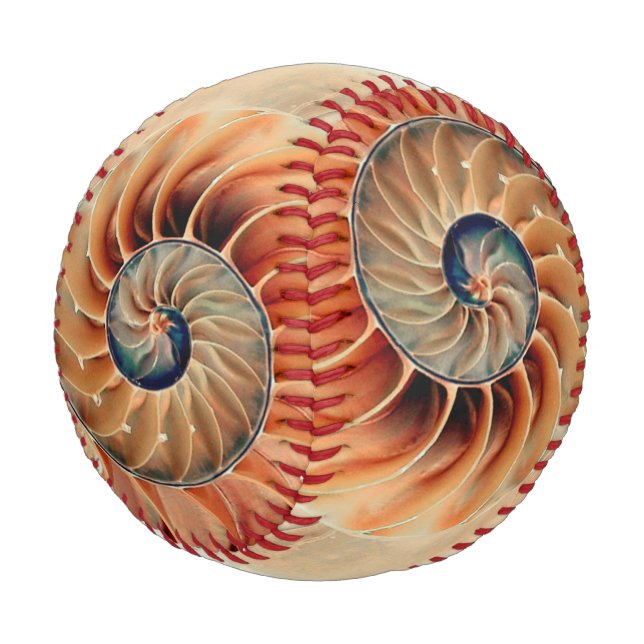 Balle De Baseball Coquille De Vie (Angle)