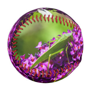 Balle De Baseball énergie de la sauterelle