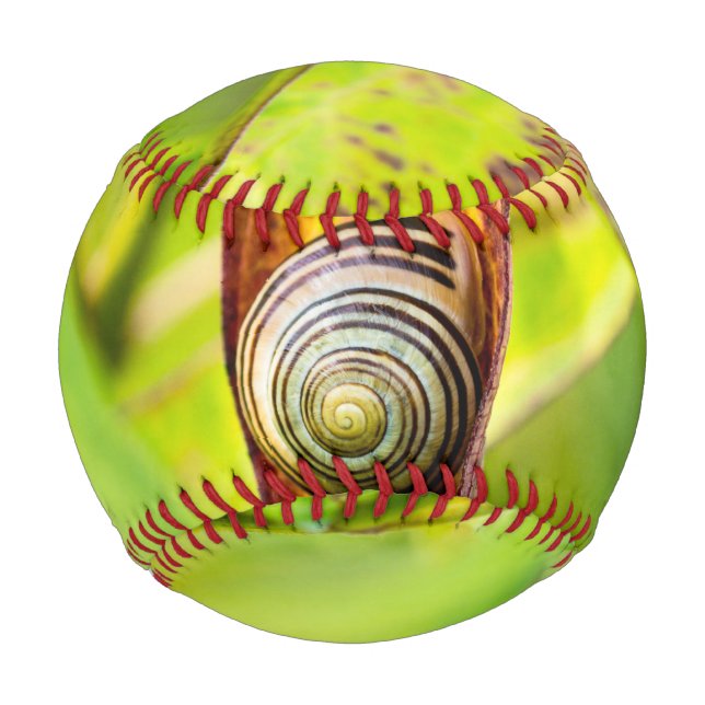 Balle De Baseball fixation calme (Devant)