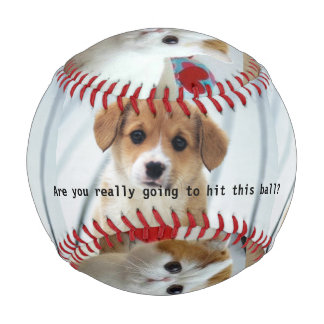 Balle De Baseball Innocent Puppy et Kitten Baseball