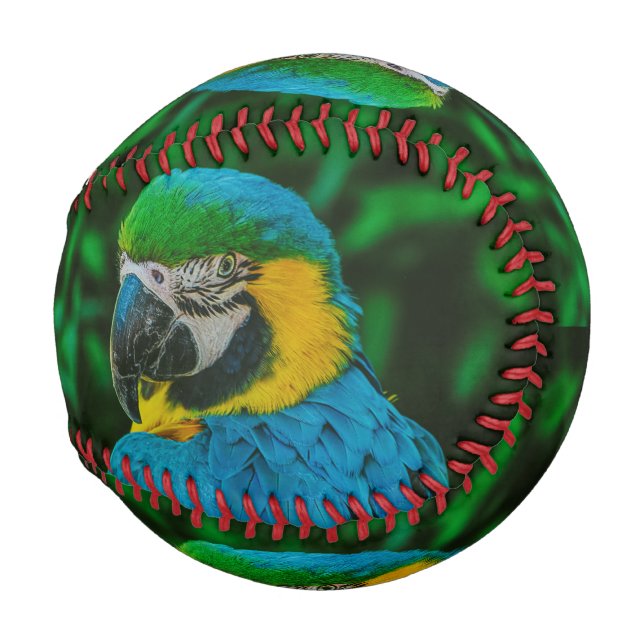 Balle De Baseball Perroquet bleu (Devant Droite)