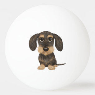 Balle De Ping Pong À poils durs Dachshund   Teckel de chien de carica