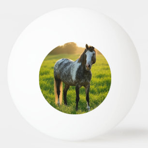 Balle De Ping Pong Ajouter une photo de cheval Personnaliser