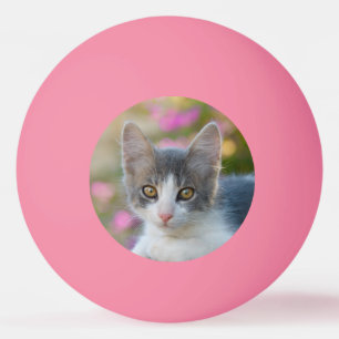 Balle De Ping Pong Amoureux de les chats pelucheux de photo de petit