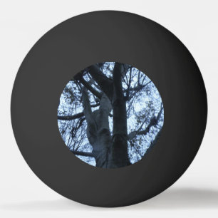 Balle De Ping Pong Arbre Silhouette photo Ping Pong Ball