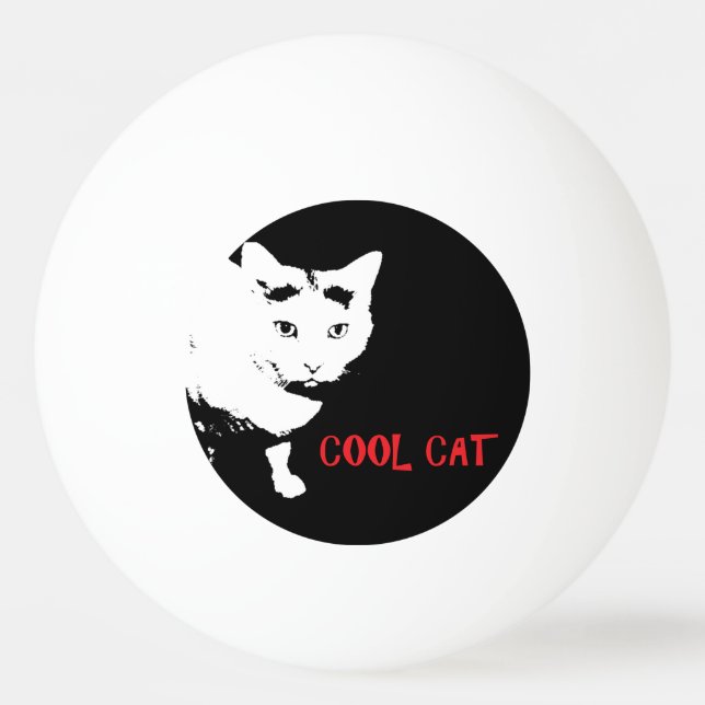 Balle De Ping Pong BALLE DE PING-PING cool (Devant)