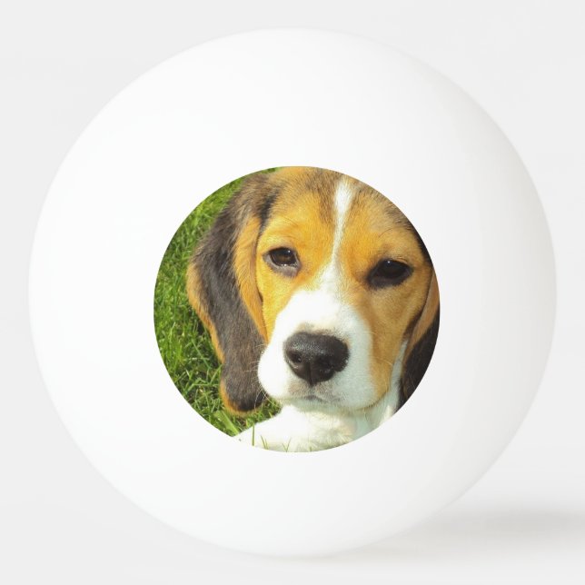 Balle De Ping Pong Beagle mignon (Devant)