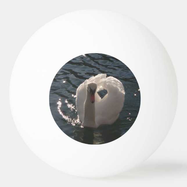 Balle De Ping Pong Beau cygne blanc (Devant)