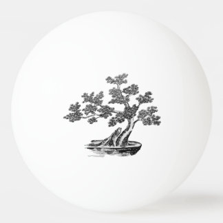 Balle De Ping Pong Bonsai - Style chinois - noir et blanc