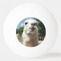 Boule de ping-pong heureuse de lama