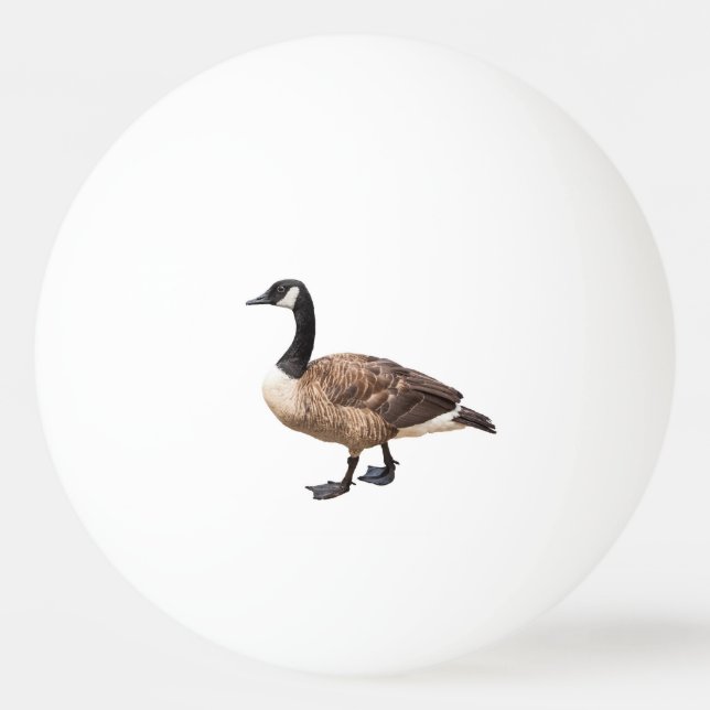 Balle De Ping Pong Canada Goose (Devant)