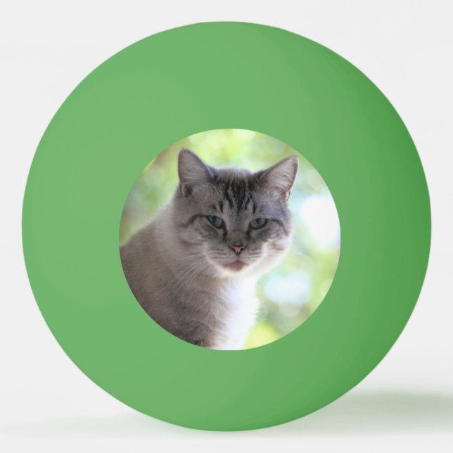 Balle De Ping Pong Cat (Devant)