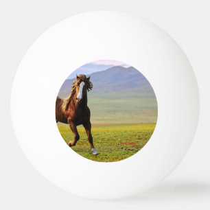 Balle De Ping Pong Cheval